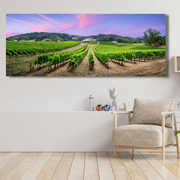 Vigneti in Collina
