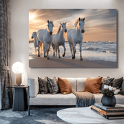 Cavalli in spiaggia al tramonto