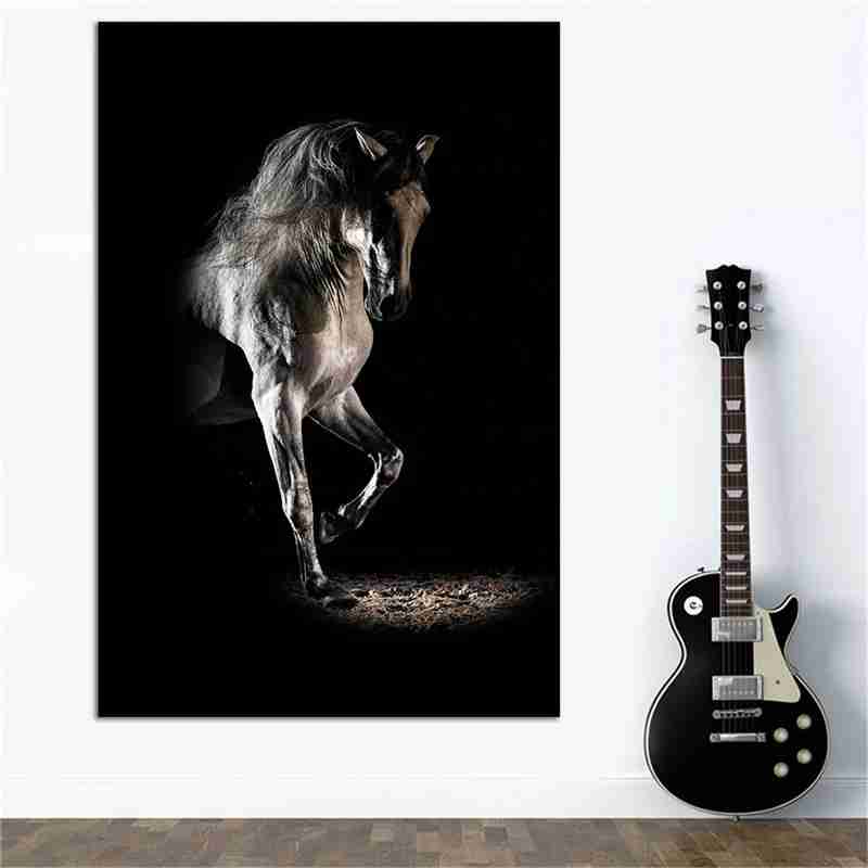 Cavallo sotto il riflettore