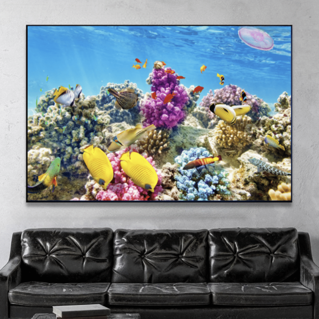 At the Bottom of the Sea 