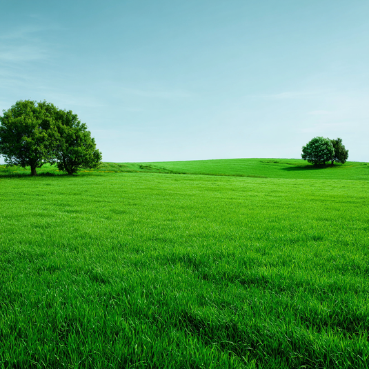 Amore Design Smartness