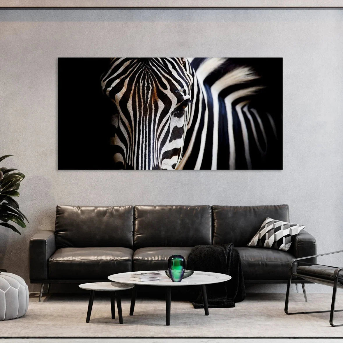 Sguardo di una zebra