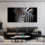 Sguardo di una zebra